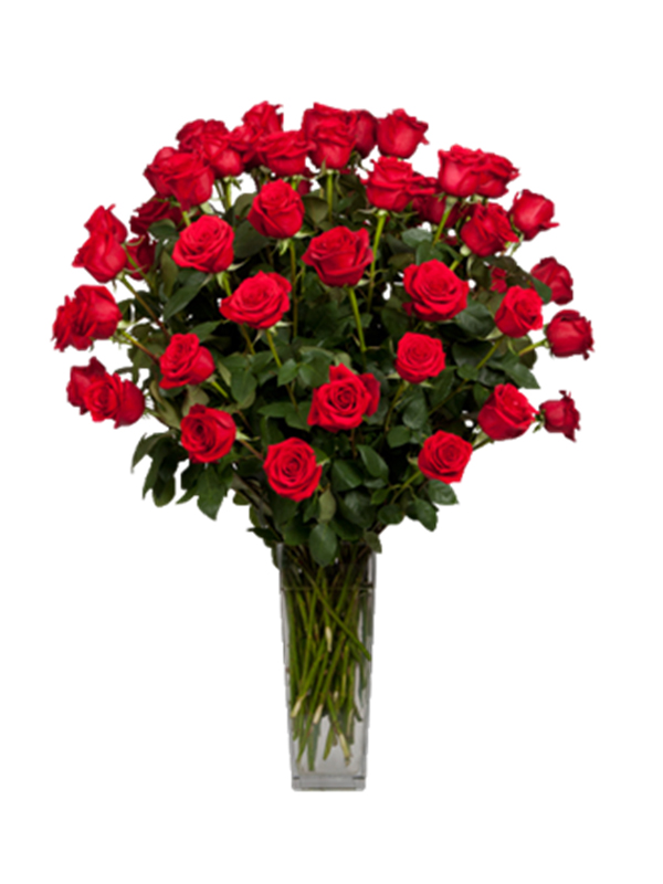 24 rosas + Base de cerámica + Globos metálicos