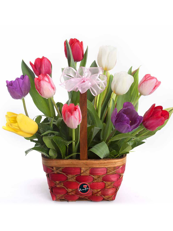 Bouquet de gerberas + Follaje + Tarjeta + Globos metálicos