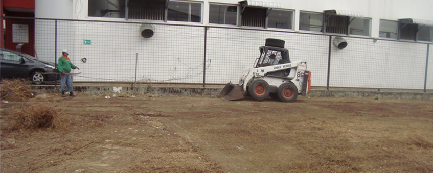 Desbroce y limpieza de terrenos